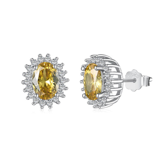 [Raffine]Delicate Radiant Oval Cut Daily Earrings