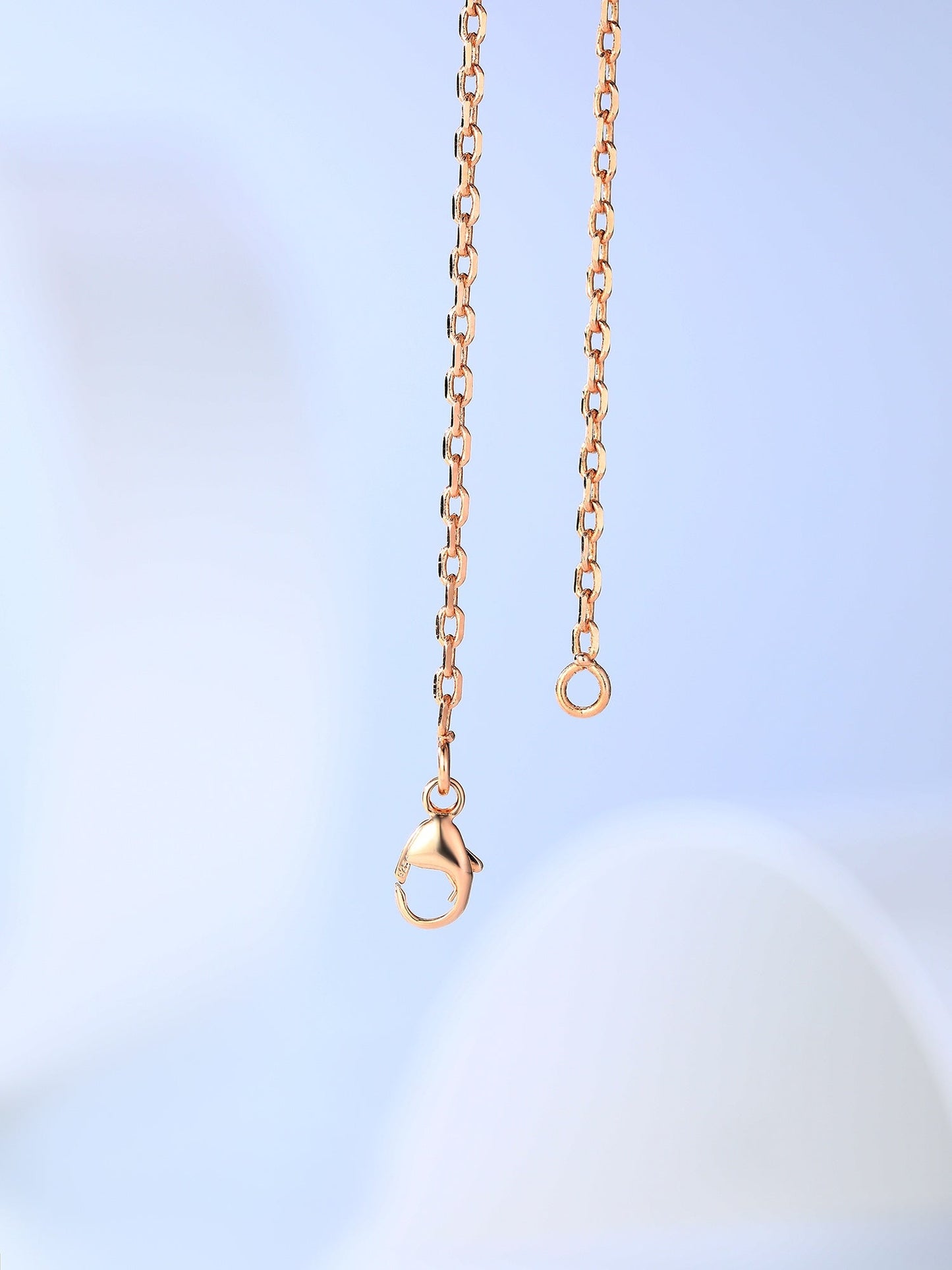 [Raffine] COLLAR DE ORO ROSA H CAGE