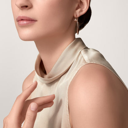 [Raffine]JUSTE HALF DIAMOND LARGE EARRINGS