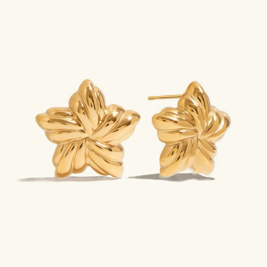 [Raffine]Thymes Gold Star Earrings