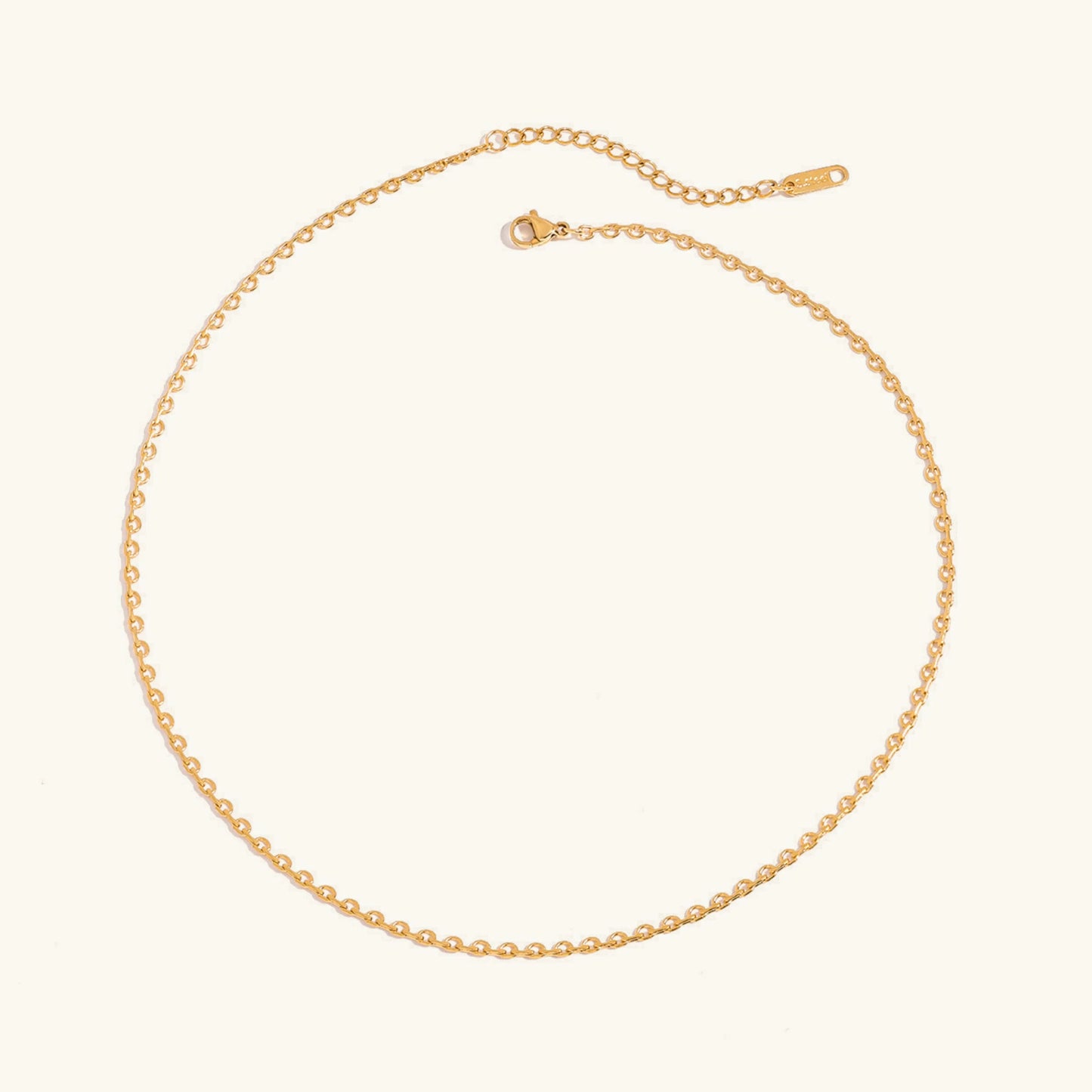 [Raffine]Loraine Gold Chain Necklace
