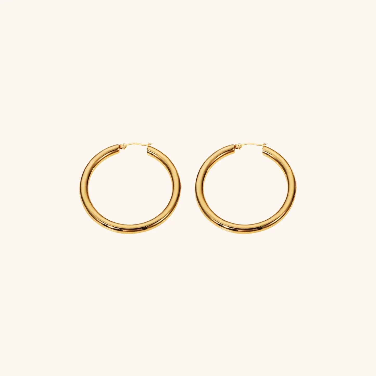 [Raffine]Wide Hoop Earrings