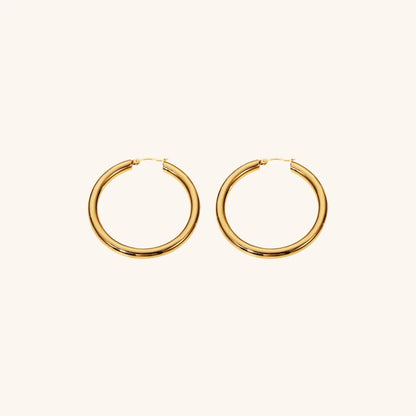 [Raffine]Wide Hoop Earrings