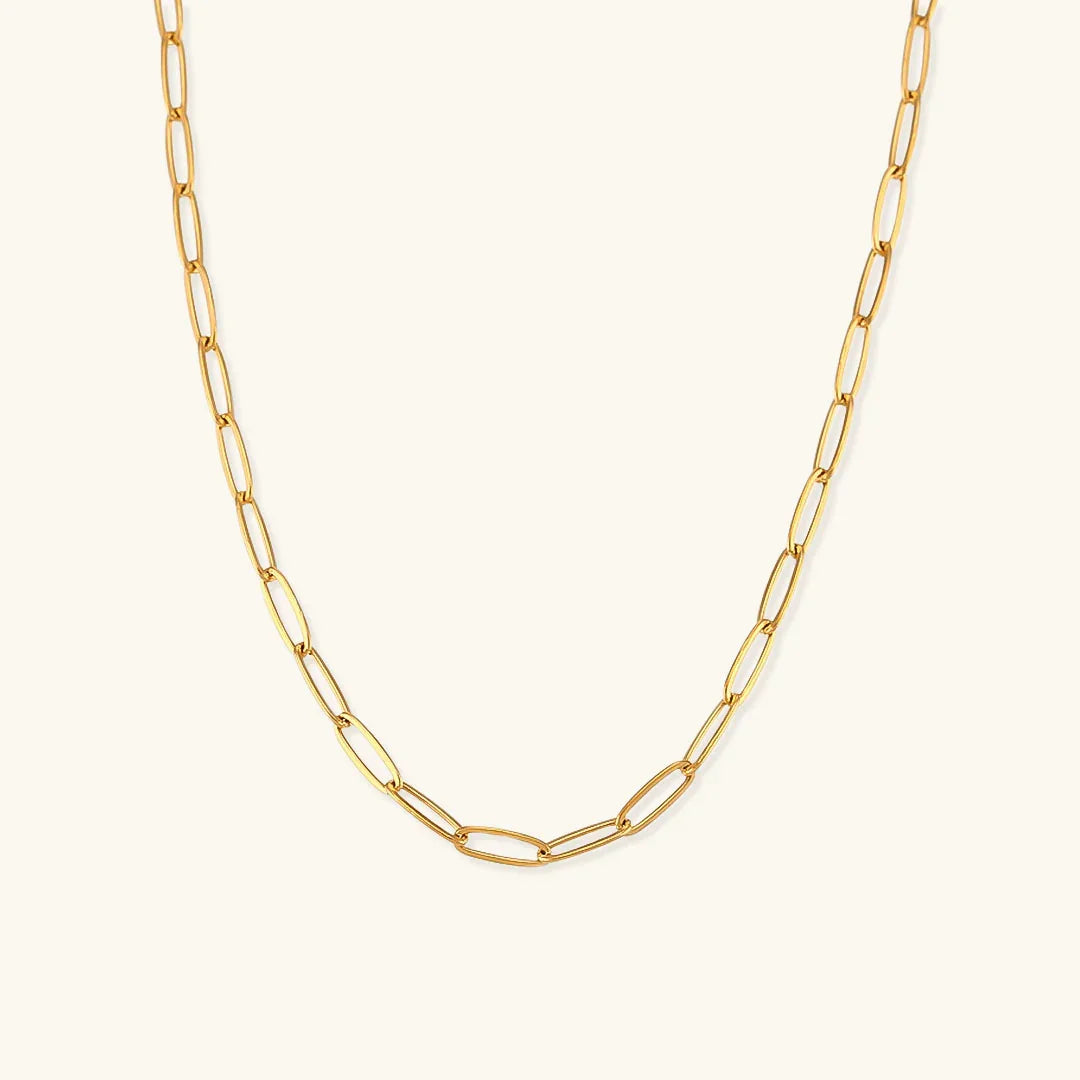 [Raffine]Lena Golden Chain Necklace